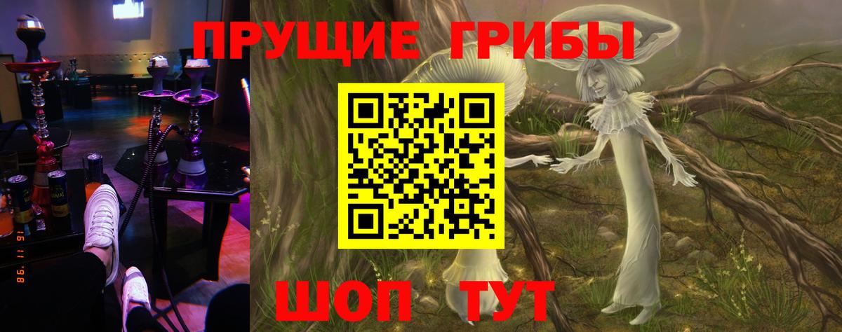 Галлюциногенные грибы Cubensis Ставрополь