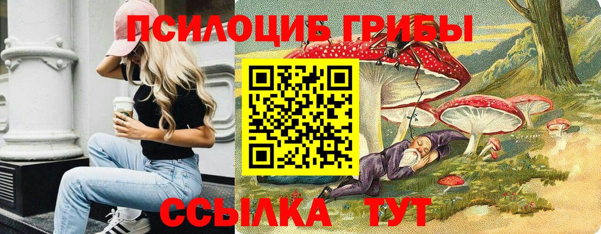 Галлюциногенные грибы MAGIC MUSHROOMS  купить наркоту  Вход с VPN  Ставрополь  Галлюциногенные грибы Psilocybe 