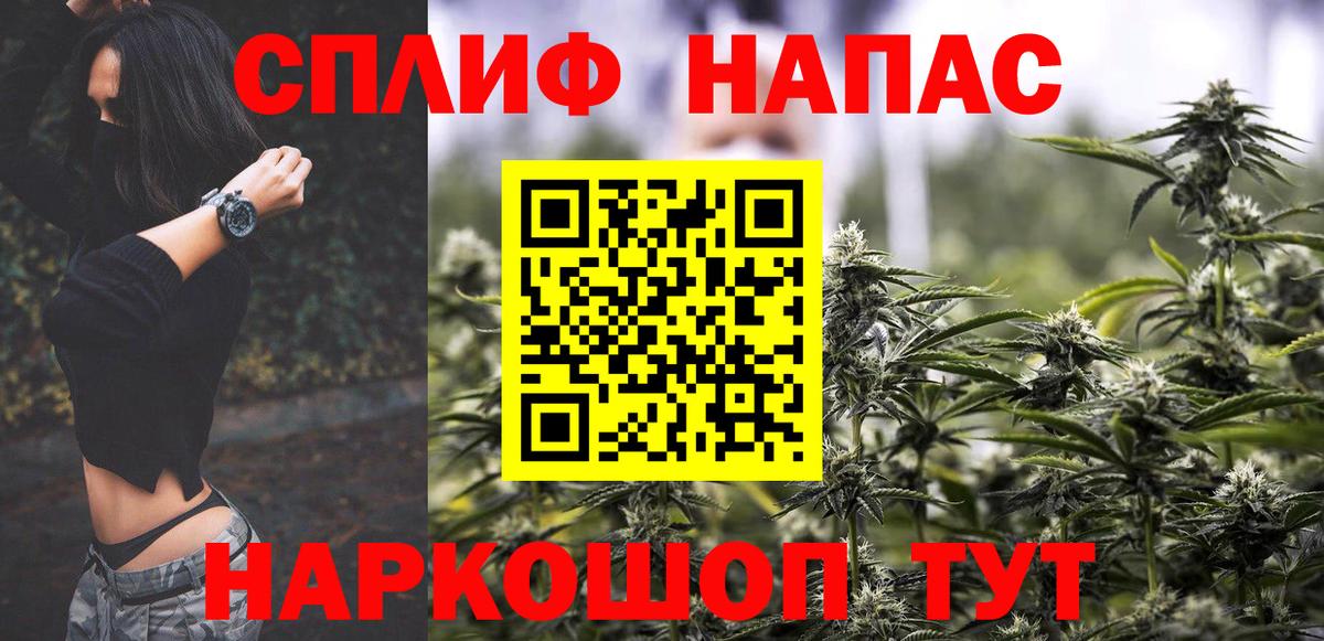 Каннабис гибрид Ставрополь